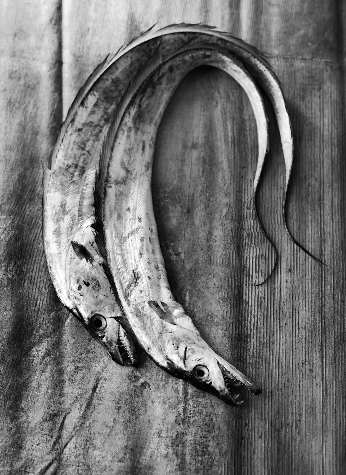 beth2_087_bw