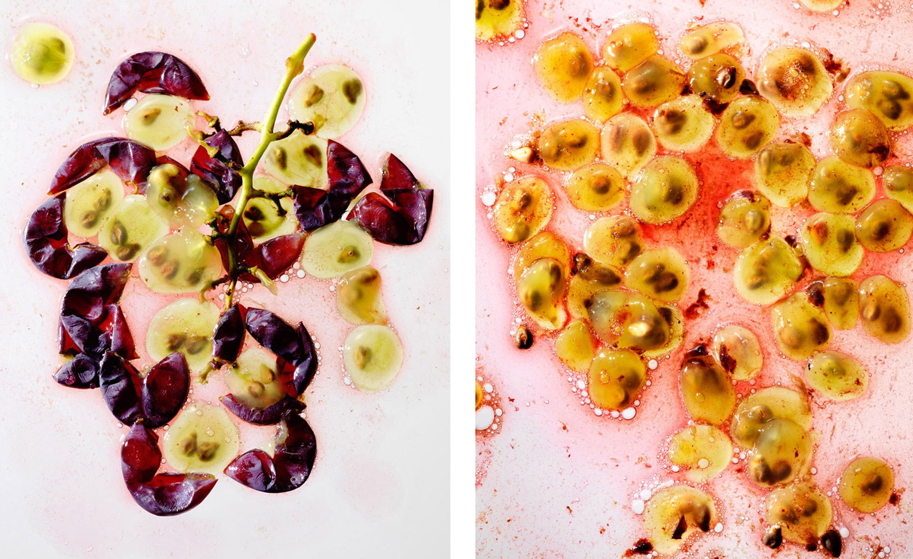 transform_grapes22